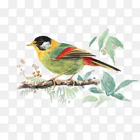 ˮ��С��-������