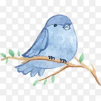 Ë®²Ê¶¯ÎïÀ¶É«Ð¡Äñ-¿ÕÈôÍø Ë®²Ê¶¯ÎïÀ¶É«Ð¡Äñ-¿ÕÈôÍø