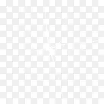 纯白裂缝-空若网 纯白裂缝-空若网