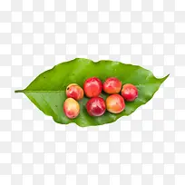 绿色叶子装着的咖啡果实物-空若网 绿色叶子装着的咖啡果实物-空若网