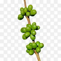 ��ɫû����Ŀ��ȹ�ʵ��-������