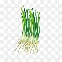 手绘葱花设计素材-空若网 手绘葱花设计素材-空若网