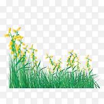 绿色的草-空若网 绿色的草-空若网