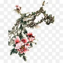 彩色水墨画粉色牡丹-空若网 彩色水墨画粉色牡丹-空若网