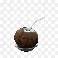 椰子水素材实物-空若网 椰子水素材实物-空若网