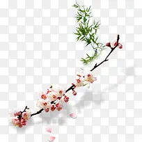 ��֦�ϵĻ���-������