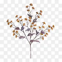 ��֦�Ͽ�ή�Ļ���-������