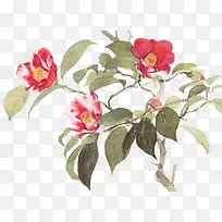 ֦ͷ�ϵ�С��-������