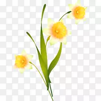 ˮ���л�-������