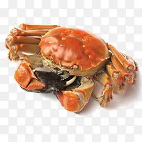 卡通简约美食装饰广告设计螃蟹-空若网 卡通简约美食装饰广告设计螃蟹-空若网