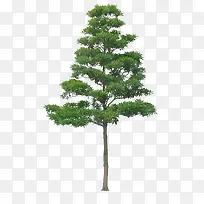 ·±Ã¯Ê÷-¿ÕÈôÍø ·±Ã¯Ê÷-¿ÕÈôÍø