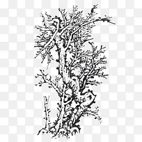 ֦Ҷ��ï�Ĺ����ֻ�-������