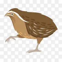 卡通可爱小动物装饰动物头像-空若网 卡通可爱小动物装饰动物头像-空若网