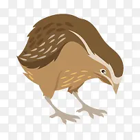 ��ͨ�ɰ�С����װ�ζ���ͷ��-������