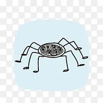 ��ͨ֩��PNG����-������