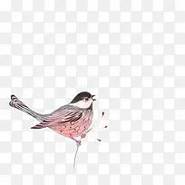 手绘小鸟-空若网 手绘小鸟-空若网