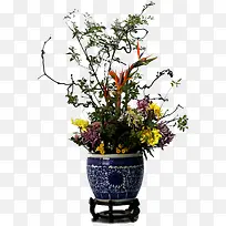 菊花装饰-空若网 菊花装饰-空若网