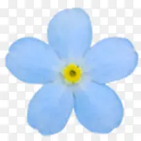 Ö²Îﻨ»ÜËØ²Ä³éÏóÏÊ»¨-¿ÕÈôÍø Ö²Îﻨ»ÜËØ²Ä³éÏóÏÊ»¨-¿ÕÈôÍø