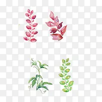 �ֻ�ʻ�Ҷ����֦-������