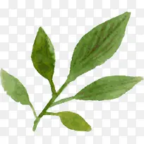 手绘树枝-空若网 手绘树枝-空若网