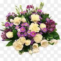 ���ݱ����زĻ���-������