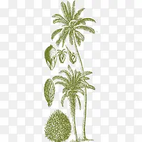 ī��ɫ������-������