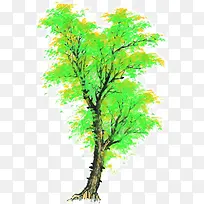 绿色装饰树-空若网 绿色装饰树-空若网