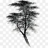 写意手绘装饰树-空若网 写意手绘装饰树-空若网