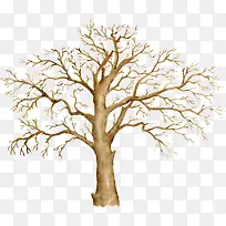 冬天的树-空若网 冬天的树-空若网