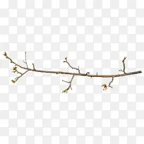 ����ϳɴ������֦-������