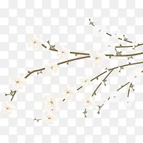 矢量白色花朵和树枝-空若网 矢量白色花朵和树枝-空若网