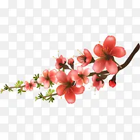 矢量手绘花朵和树枝-空若网 矢量手绘花朵和树枝-空若网