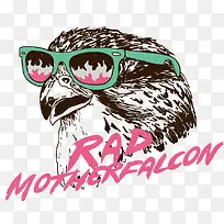 矢量戴墨镜的老鹰-空若网 矢量戴墨镜的老鹰-空若网