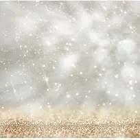 ��˸���ǹⱳ��-������