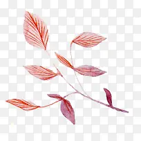 ��֦-������