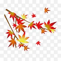 树枝-空若网 树枝-空若网