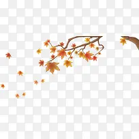 黄色枫叶-空若网 黄色枫叶-空若网