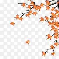 黄色枫叶树枝素材-空若网 黄色枫叶树枝素材-空若网