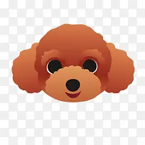 开心的泰迪-空若网 开心的泰迪-空若网