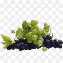 多彩好吃美食葡萄叶藤免抠图-空若网 多彩好吃美食葡萄叶藤免抠图-空若网