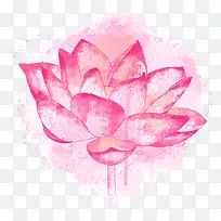 荷花-空若网 荷花-空若网