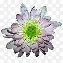 �ֻ�ջ�-������