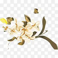 ���ӻ�װ�����ʸ��-������