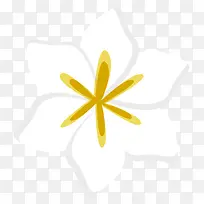 简约白色栀子花花朵-空若网 简约白色栀子花花朵-空若网