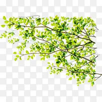 绿色植物数字-空若网 绿色植物数字-空若网