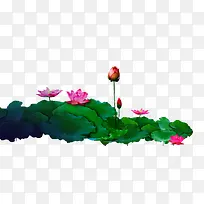 ºÉ»¨ºÉÒ¶-¿ÕÈôÍø ºÉ»¨ºÉÒ¶-¿ÕÈôÍø