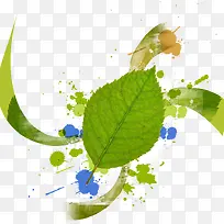 ˮ��ī����Ҷ-������