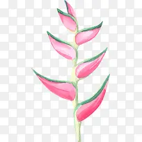 手绘水彩粉色花朵-空若网 手绘水彩粉色花朵-空若网
