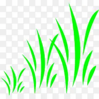 ÄÛÂÌÉ«µÄ¿¨Í¨Ð¡²Ý-¿ÕÈôÍø ÄÛÂÌÉ«µÄ¿¨Í¨Ð¡²Ý-¿ÕÈôÍø