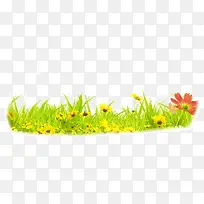 绿色的草和小花-空若网 绿色的草和小花-空若网